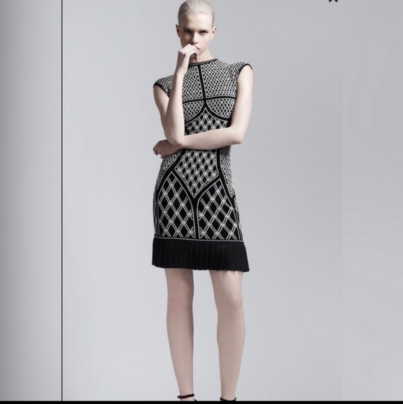 Alexander McQueen Dresses & Skirts - Alexander McQueen Jaquard Intarsia Dress